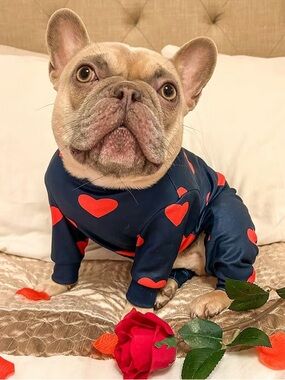 New- 2XL Soft Dog Heart-Print Pajamas - Navy with Red Hearts